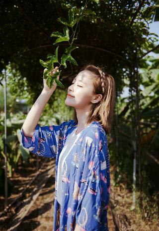 1080P高清！丁香花完整电影在哪能在线观看？